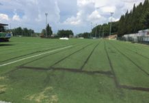 Stadio comunale, lavori partiti: 500mila euro per il nuovo tappeto sintetico