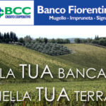 BannerBancoFiorentinoSportChianti