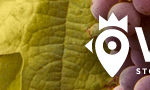 banner-wechianti-640×90