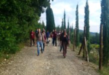 Le antiche vie di San Casciano, in arrivo una carta dei sentieri online