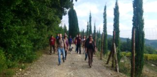 Le antiche vie di San Casciano, in arrivo una carta dei sentieri online