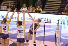 Il Bisonte di nuovo in campo: arrivano al Mandela le campionesse d’Italia di Novara