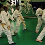 karate micheletIMG_3478