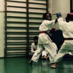 karate micheletIMG_3501