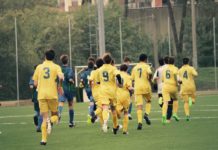 Dilettanti e settore giovanile, tante novità per chi siede in panchina