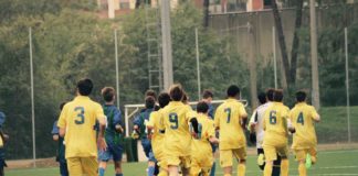 Dilettanti e settore giovanile, tante novità per chi siede in panchina