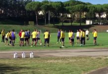 San Donato Tavarnelle, Berchielli all’esordio con gli Juniores: “Ho trovato un bel gruppo”