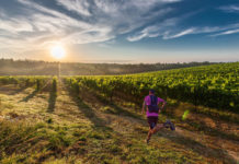 Chianti Trail Ultra, cresce l’attesa tra tutti i runners (di venti nazionalità)