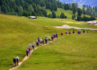 trekking