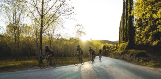 Dalla Certosa al Castello di Verrazzano: una ciclostorica speciale fra Firenze e Greve