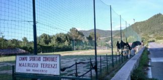 Fiumi-Fanicchi gol, Truschi pare un rigore: 2-1 sull’Albereta 72 e il San Polo non è più ultimo