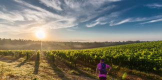 Chianti Trail Ultra, domani all’alba il via alla prima edizione: 660 atleti pronti a Radda in Chianti