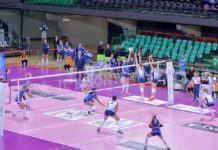 Ultima giornata di stagione regolare: Il Bisonte a Filottrano con i playoff in tasca