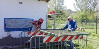 Le Stelle della Settimana? Genitori e dirigenti del Chianti Baseball che sistemano il campo!