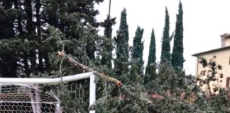 Grassina: cipresso si spezza e si abbatte sulla porta del campo da calcio. Distrutta