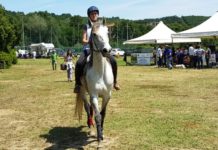 Denise Bigazzi, da Greve in Chianti alle corse di resistenza a cavallo: la sua storia