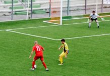 Serie D, ultimi ritocchi all’organico per la stagione che verrà: 6 club riammessi e altri 3 ripescati