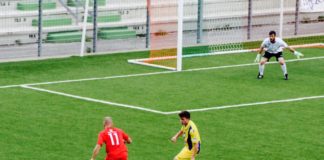 Serie D, ultimi ritocchi all’organico per la stagione che verrà: 6 club riammessi e altri 3 ripescati