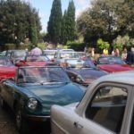 alfa romeo IMG_6885
