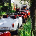 alfa romeo IMG_6892