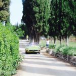 alfa romeo IMG_9972