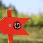 chianticlassicomarathon3.6.2018_04