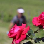 chianticlassicomarathon3.6.2018_08