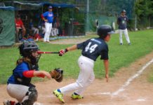 Apoteosi Under 12 Chianti Baseball: 16 vinte su 18 e titolo di campioni regionali!