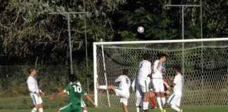 Eccellenza 2019/2020, verso due gironi da 16 squadre? Domani la decisione sul Viareggio