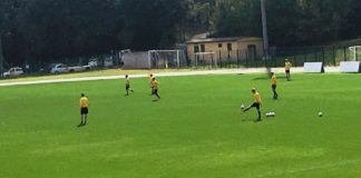 Dpcm e stop allenamenti. Il Comitato Regionale: “Verifiche Figc-Ministero in corso. Lunedì meglio sospendere l’attività”