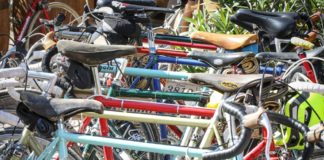 Eroica Juniores, il 16 maggio da Siena a Montalcino con quattro tratti di strada bianca