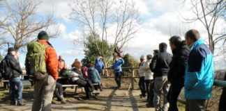 Camminate d’autunno: tre domeniche speciali con Le Vie del Chianti