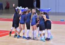 Volley, ci siamo: domani Il Bisonte alla prima di campionato. In casa contro Chieri