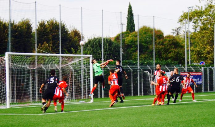 grassina colligiana 2