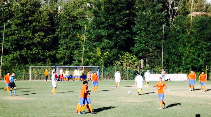 grevigiana novoli IMG_7573