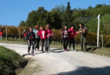 In cammino con Le Vie del Chianti: domenica 2 dicembre lungo la via Francigena