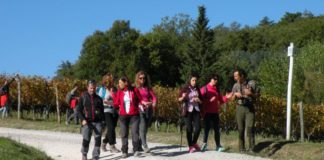 In cammino con Le Vie del Chianti: domenica 2 dicembre lungo la via Francigena