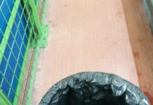 LETTERA E FOTO / Una mamma: “Il Palazzetto dello Sport di Impruneta… fa acqua”