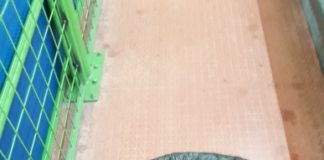 LETTERA E FOTO / Una mamma: “Il Palazzetto dello Sport di Impruneta… fa acqua”