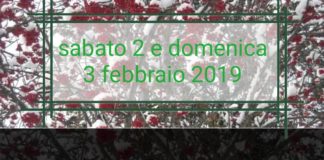 Stage d’Inverno con Sancaballet. Workshop e laboratori coreografici con performance finale