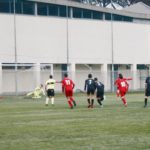 grevigiana fiesole IMG_8245