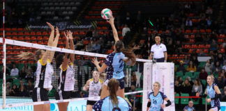 Il Bisonte, gara-1 dei play-off si giocherà a Siena: indisponibile il Mandela Forum