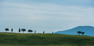Dopo il Percorso Permanente de L’Eroica ecco il Percorso Permanente di Eroica Montalcino