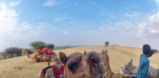 Freestyle: nel Grande Deserto Indiano, rischiando la vita per una… lucertola