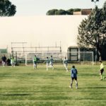 cerbaia chianti nordIMG_9021