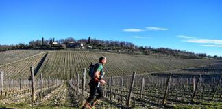 Correre in mezzo alle vigne: il 15 maggio a Radda torna Chianti Ultra Trail