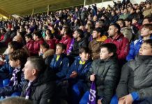Coppa Italia, la tribuna del Franchi colorata di viola. E del gialloblù della Grevigiana