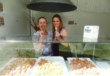 Dopo i playoff sfiorati, la Sambuca riparte… dalle frittelle: due week end di Sagra