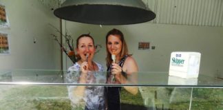 Dopo i playoff sfiorati, la Sambuca riparte… dalle frittelle: due week end di Sagra