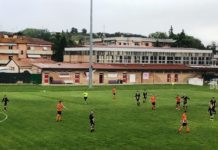 Prima Categoria 2019/2020, rebus gironi per le fiorentine. Le nostre ipotesi